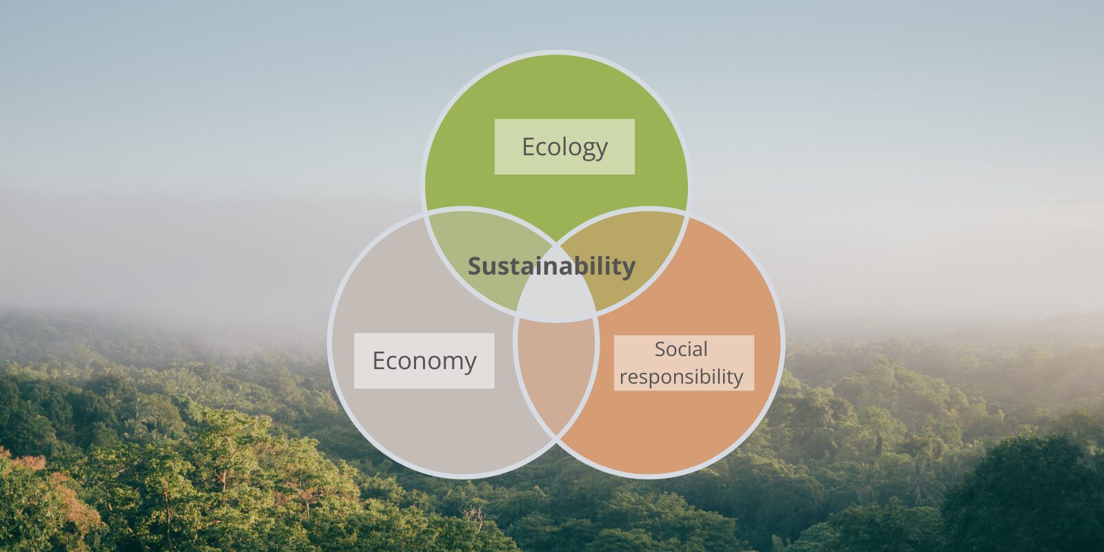 Three pillars of sustainability at HDO