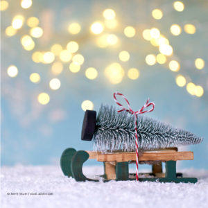 Kleiner Holzschlitten mit grün lackierten Kufen, darauf ein kleiner künstlicher Tannenbaum mit Schneebedeckung, zusammengebunden mit rotem und weißem Band, auf künstlichem Schnee liegend vor verschwommenem Hintergrund mit gelben Lichtern, HDO Schriftzug integriert.